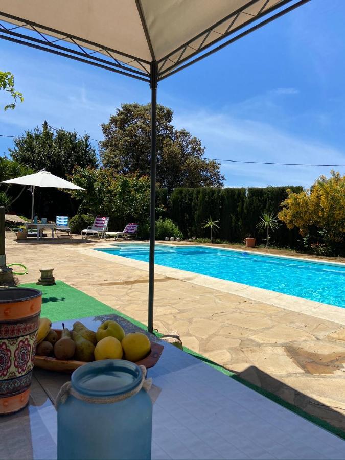 Cabana Rural El Molino - Jacuzzi La Cimada 外观 照片